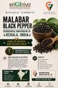 Malabar Pepper